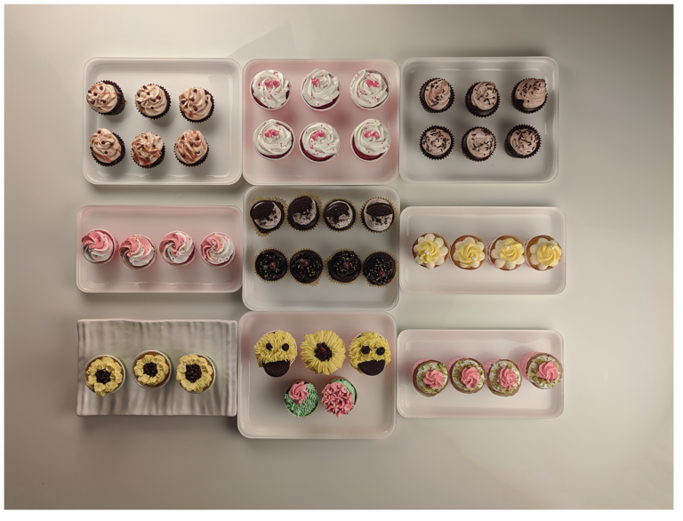 Online Cupcake Course